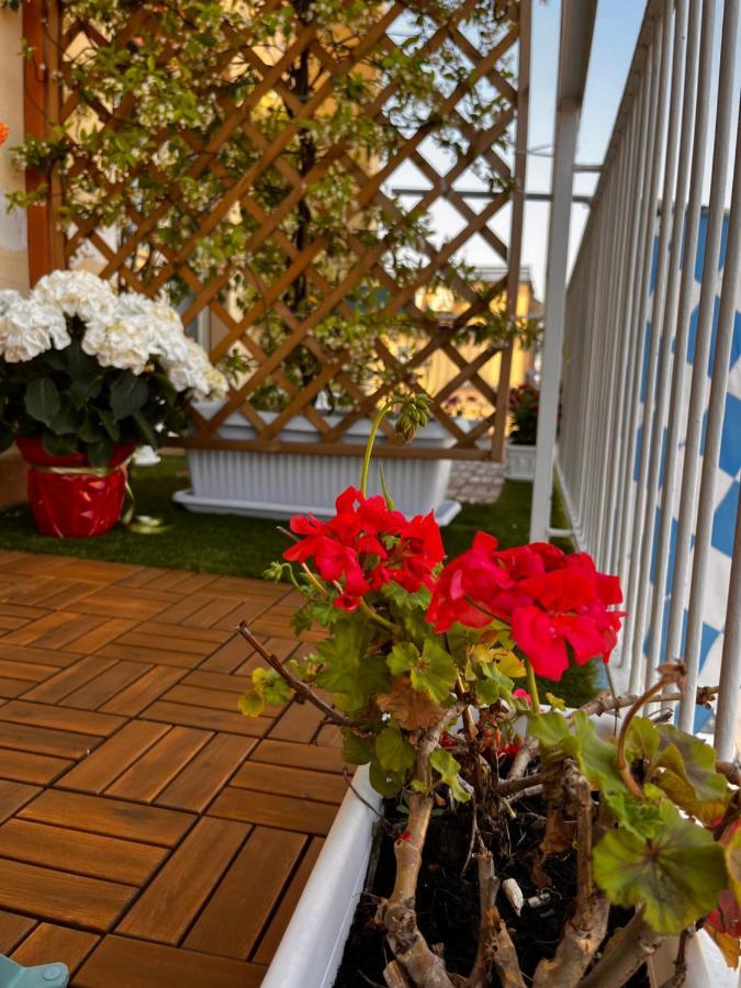 Frebi's - Bed & Breakfast *